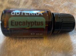Huile essentielle DoTerra « Eucalyptus », 15 ml